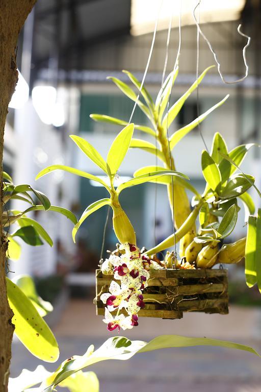 Chongrak Guesthouse Chiang Mai Zewnętrze zdjęcie