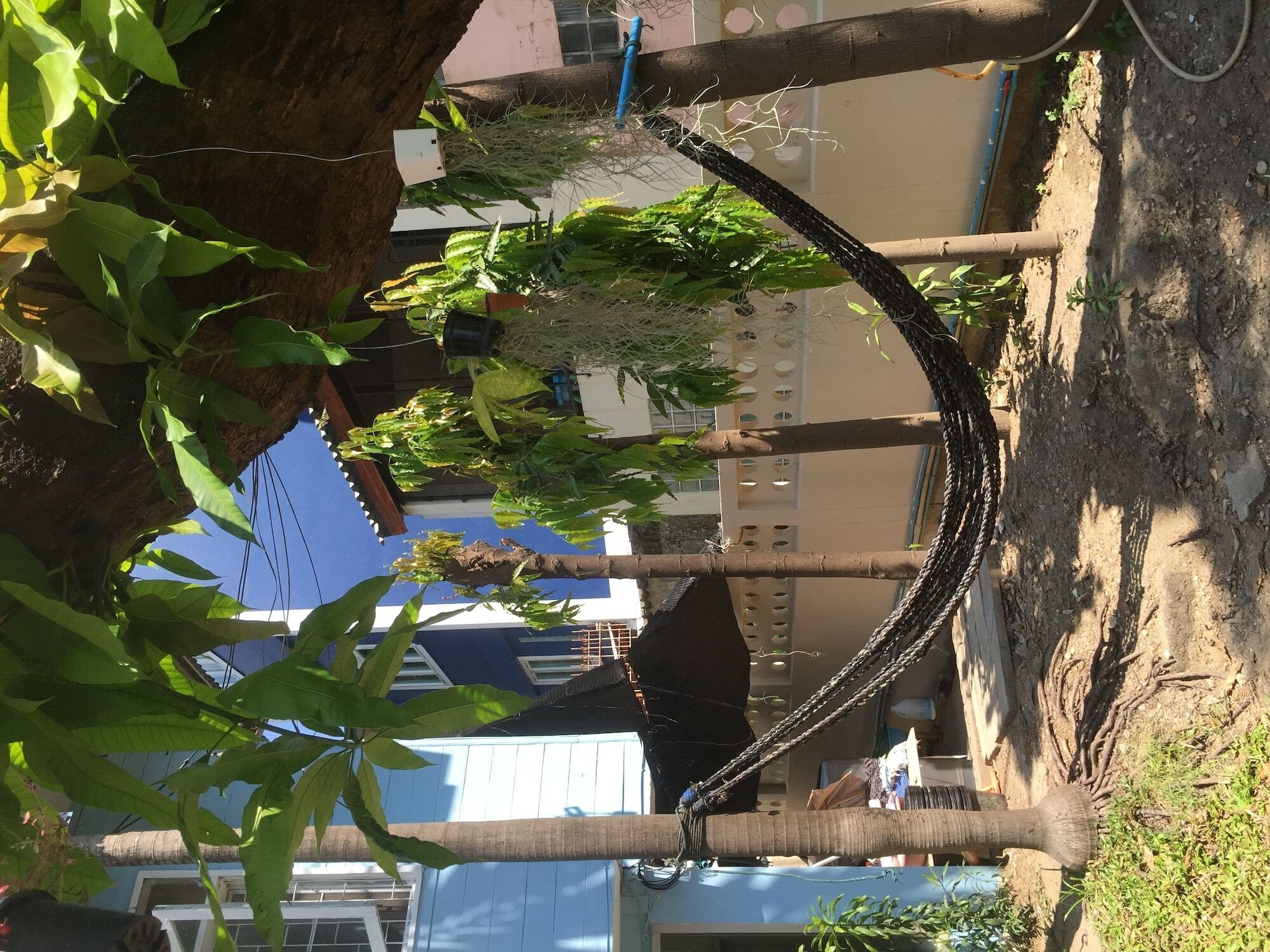 Chongrak Guesthouse Chiang Mai Zewnętrze zdjęcie